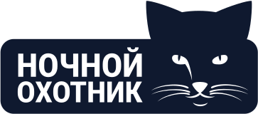 Ночной охотник
